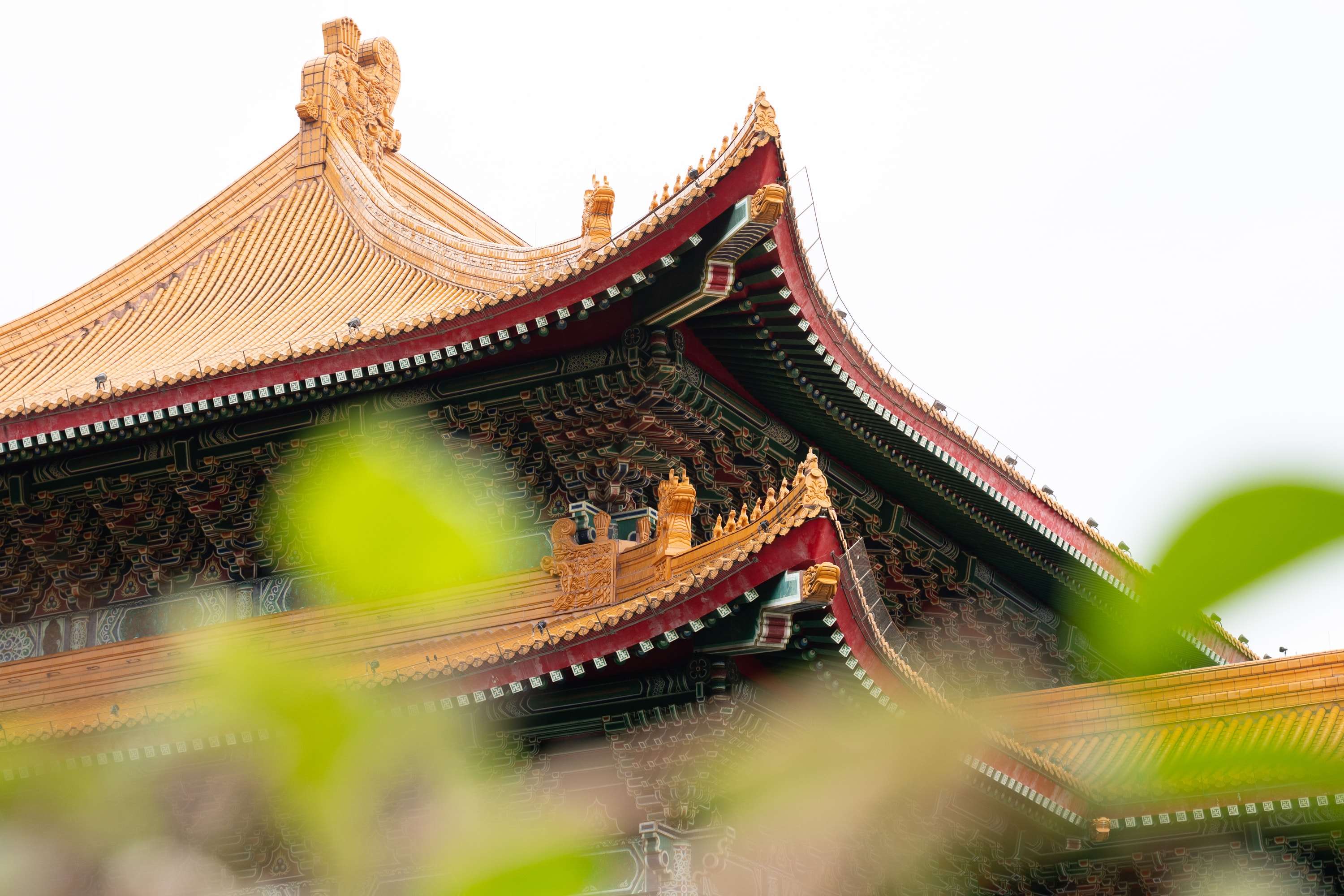 The layered golden-tiled roofs of a Chinese-style hall with red and green painted eaves, seen past blurred green leaves against a white sky.
