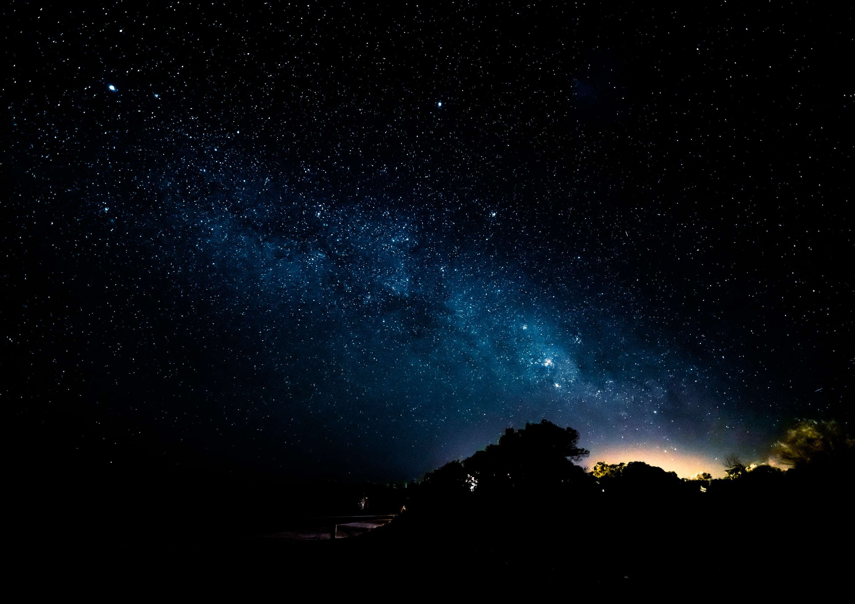 The Milky Way arcs across a black sky full of stars above the silhouette of low bush, with a faint orange glow on the horizon.