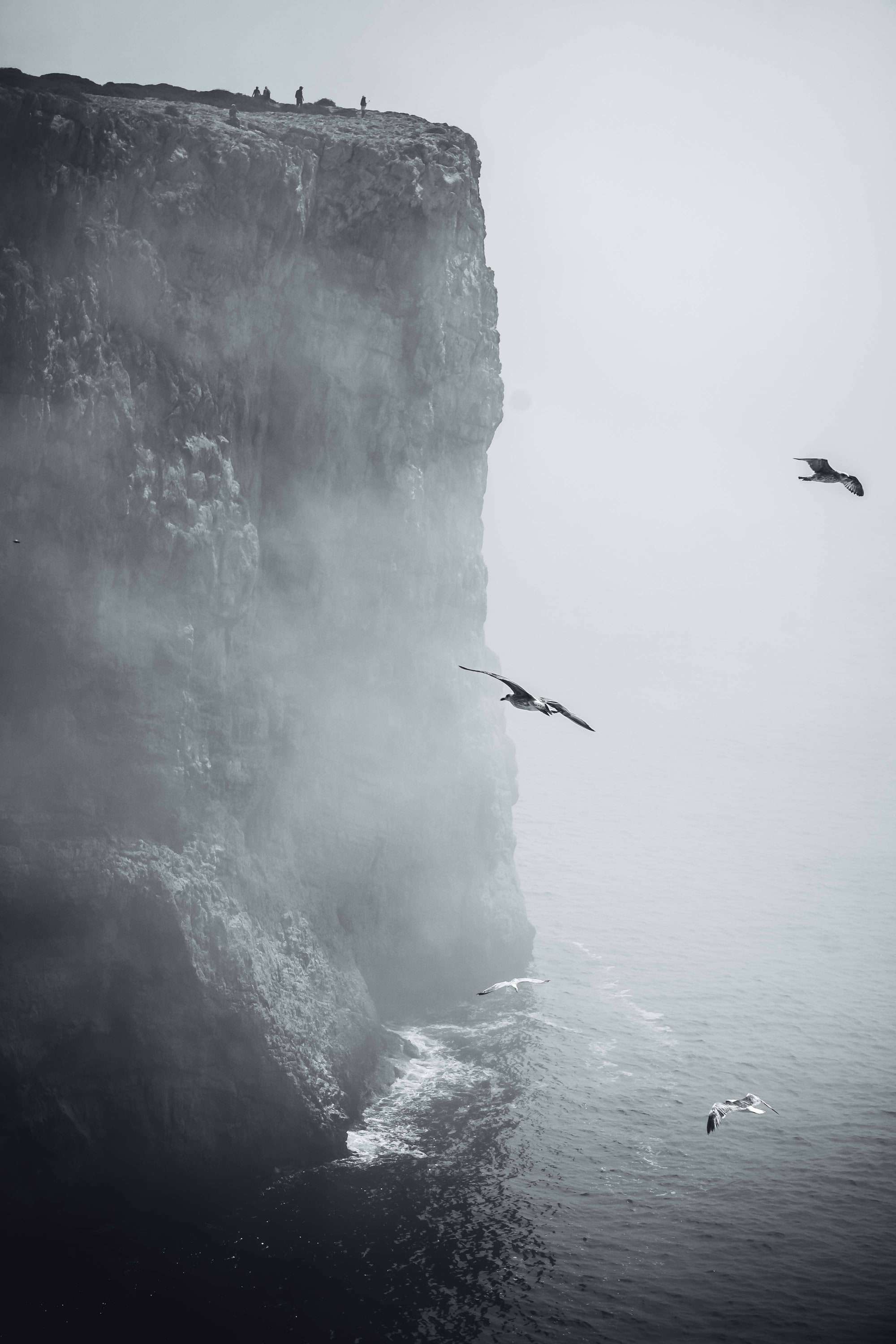 A sheer sea cliff half hidden in fog, with gulls in the air and white water at its base.