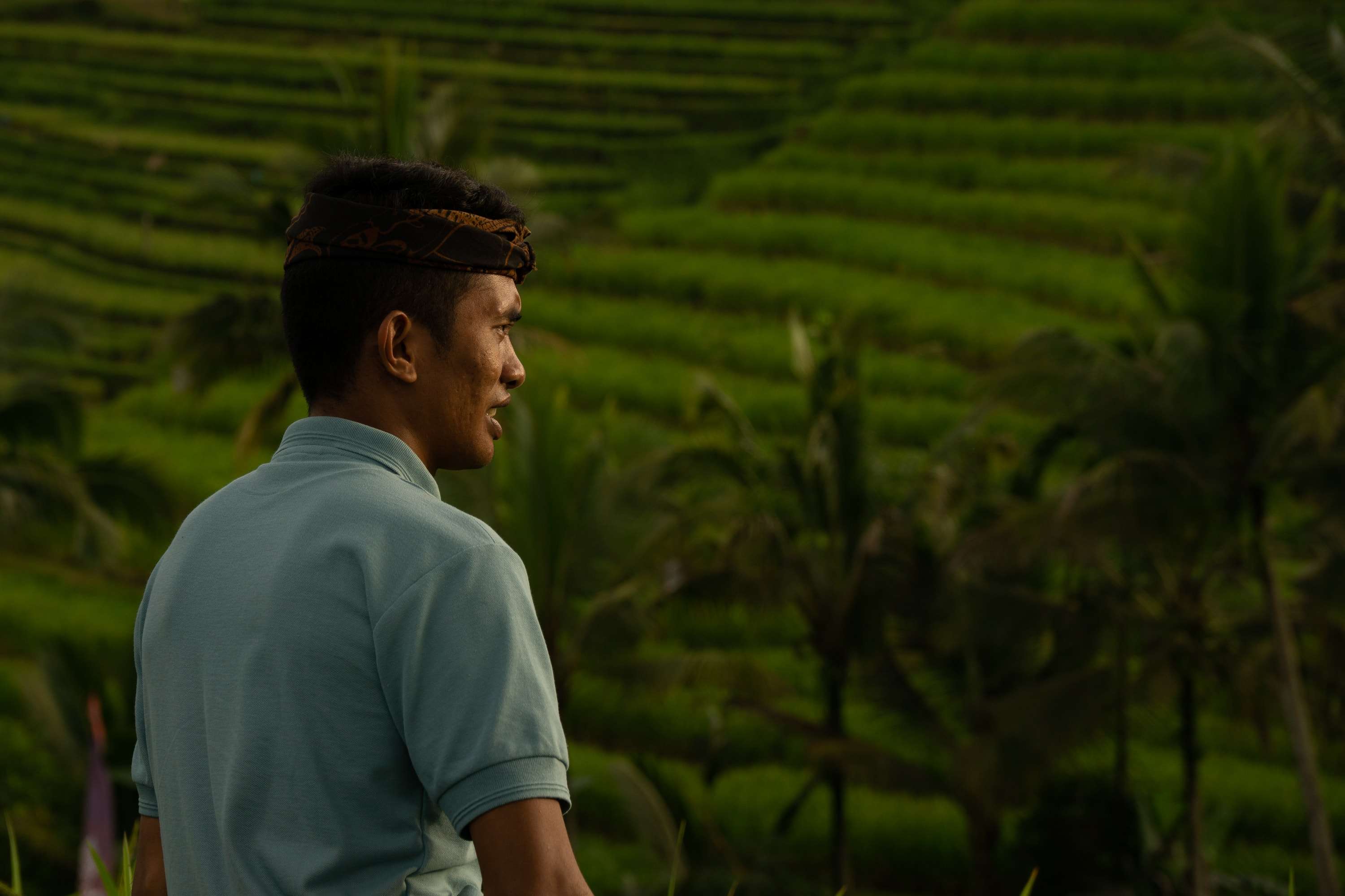 A young man in a pale polo shirt and a patterned Balinese headcloth looks off to the right, with rice terraces and palms blurred behind him.