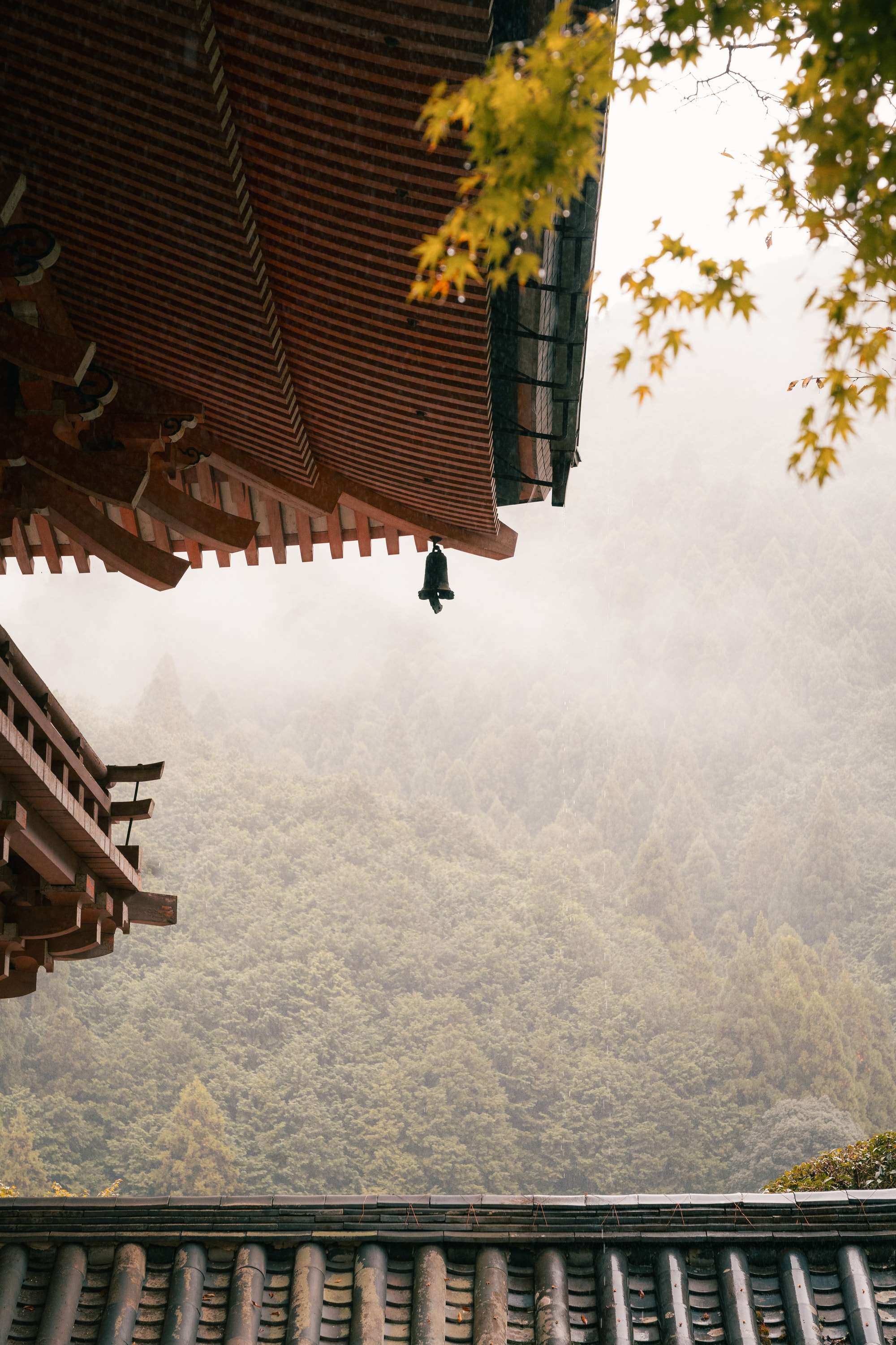 The dark tiled eaves of a temple with a hanging bronze bell, framing a forested hillside softened by mist, with yellow maple leaves at the top.