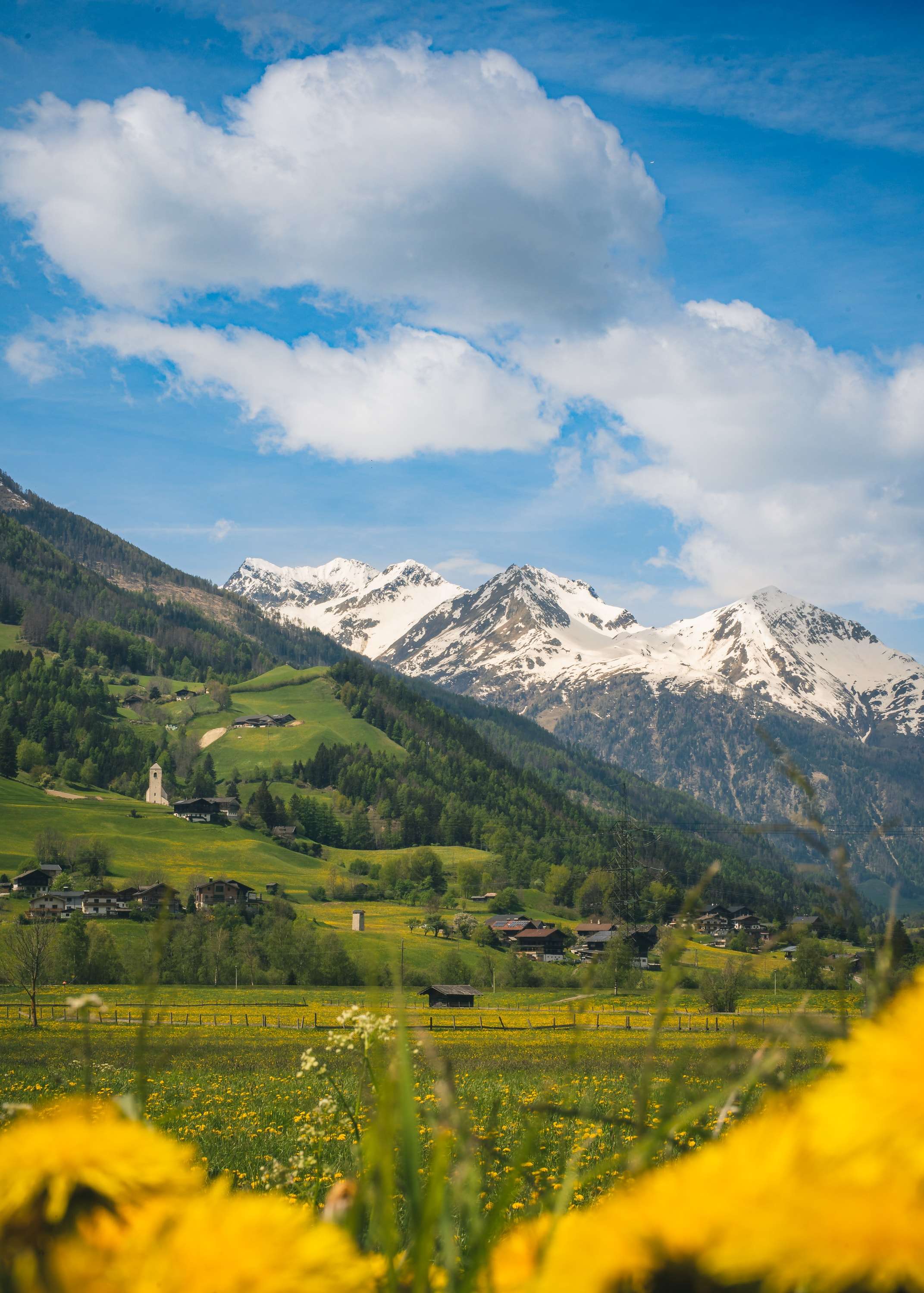 A green alpine valley with farmhouses and a small white church below snow-capped peaks, framed by blurred yellow dandelions in the foreground.