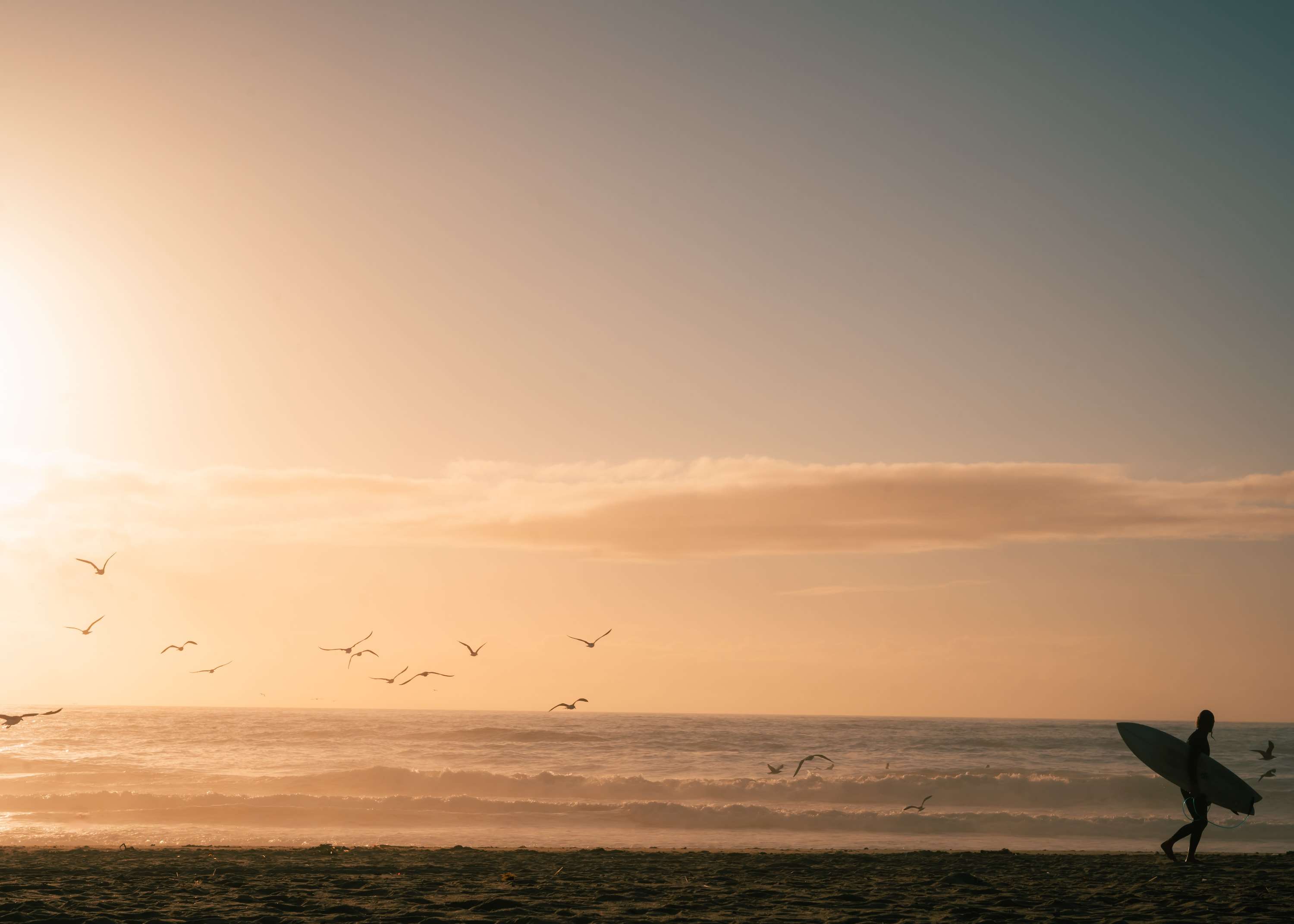 A surfer carrying a board walks out of the frame along the shoreline at sunset, with gulls flying low over the waves behind him.